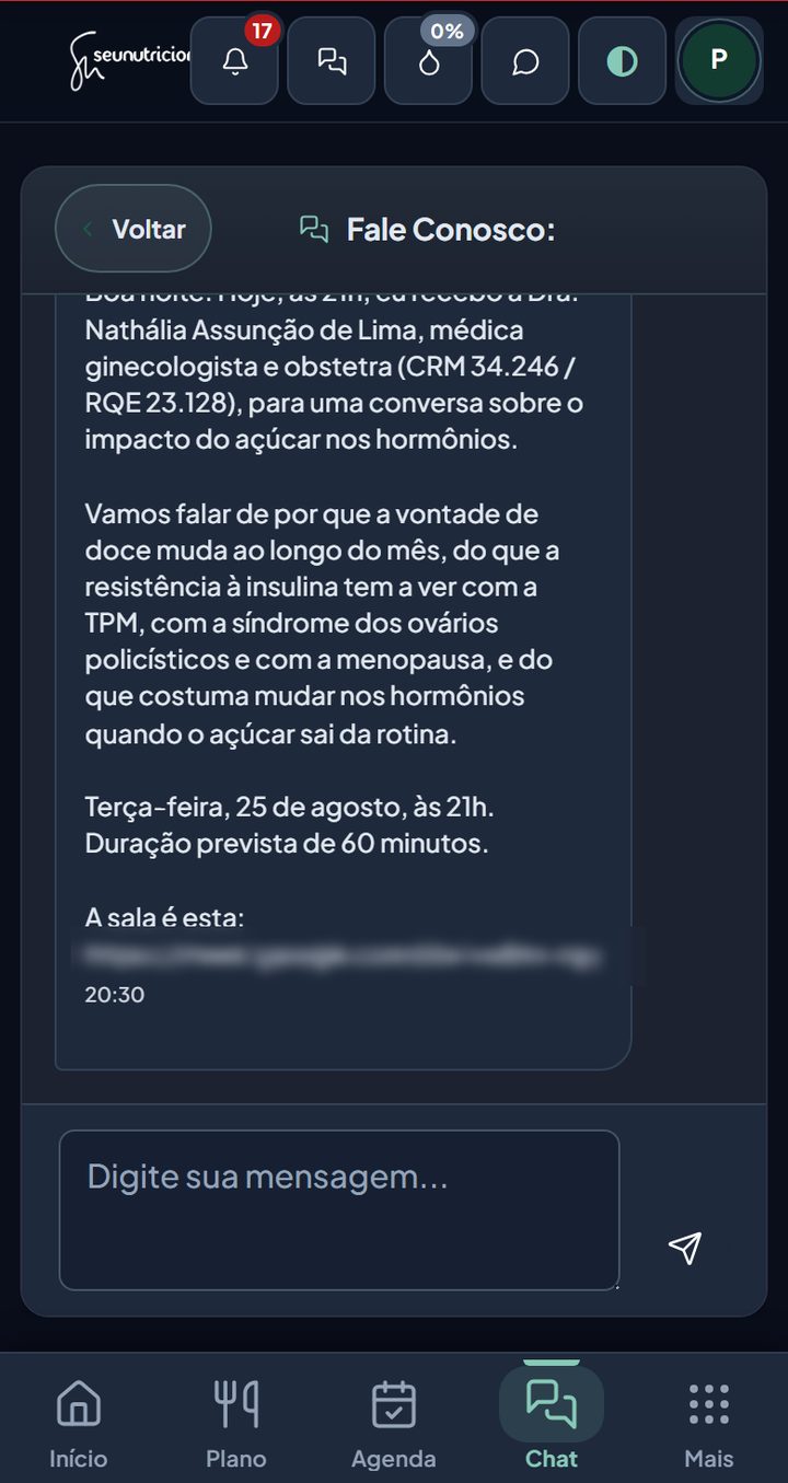 Tela do Chat, com a conversa da equipe e o campo de digitar mensagem